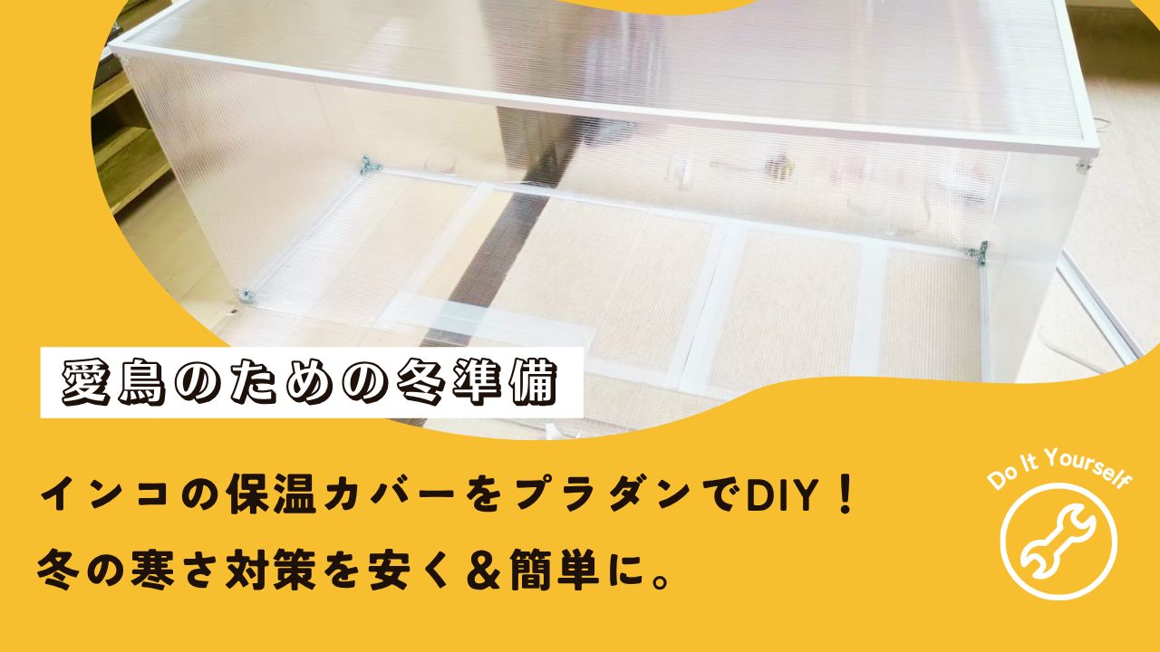 インコの保温カバーをプラダンでDIY！冬の寒さ対策を安く＆簡単に
