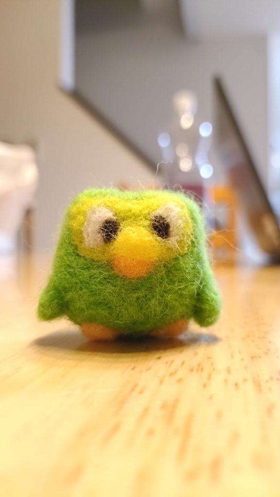 初心者が挑戦する羊毛フェルト